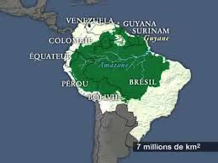 amazonie-t