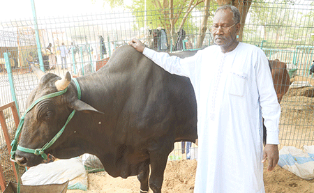 DR-IBRAHIM-MAHAMADOU--(2)