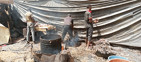 IMG_20230419_142908_819