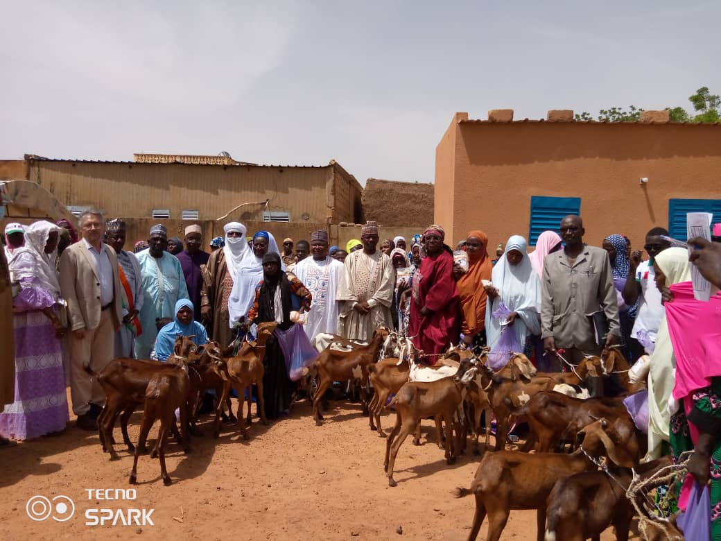 Kit ruminant et farine