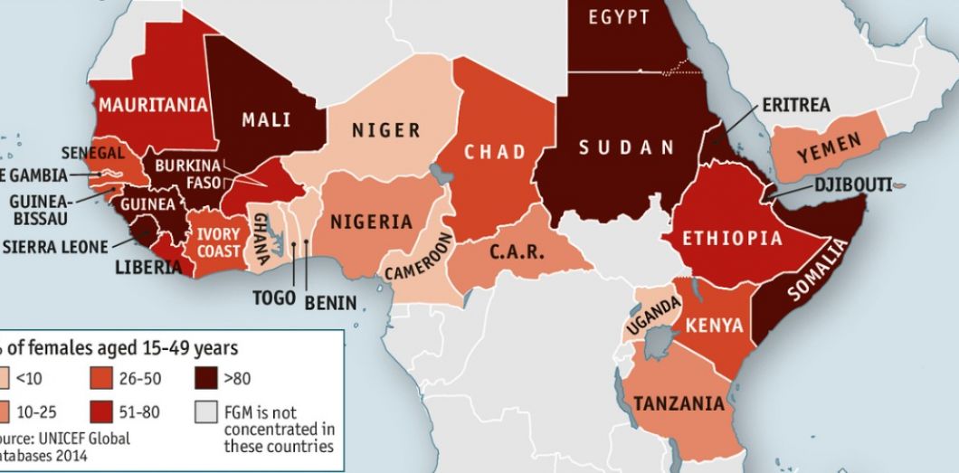 Carte des excisions en Afrique et Moyen Orient -UNICEF 2014