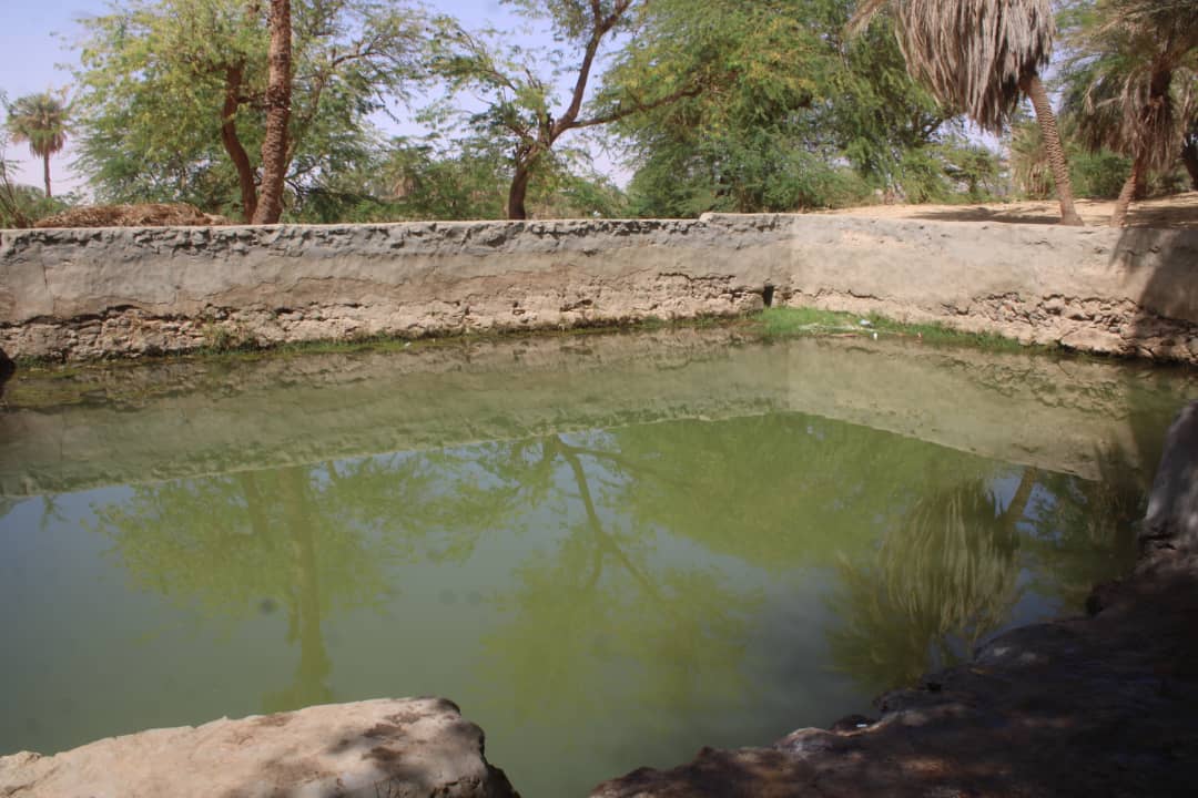 WhatsApp Image 2024-03-18 à 14.47.46_64cac34c