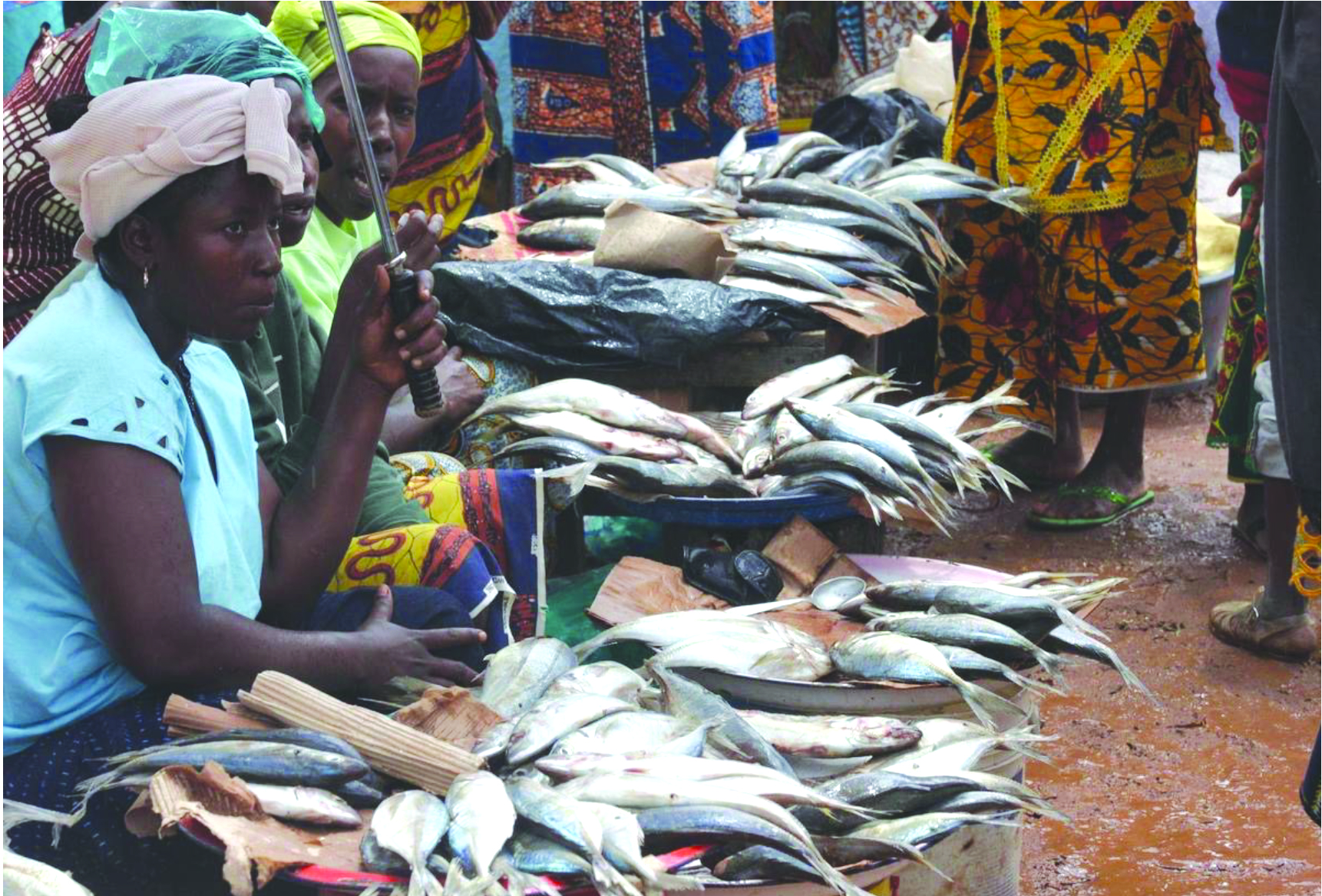 BBB Vendeuse de poisson
