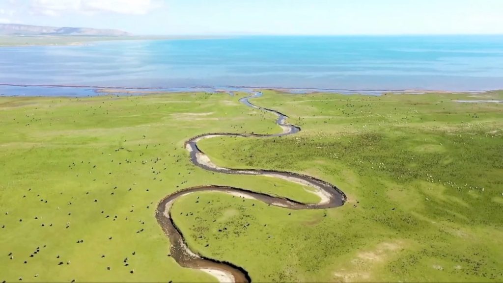 IMG_202405128_145512917