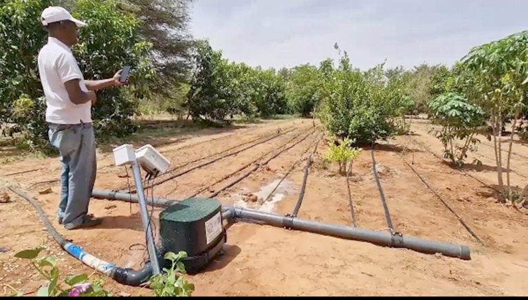 UNE BBB une démonstration de télé-irrigation avec Abdou Kané