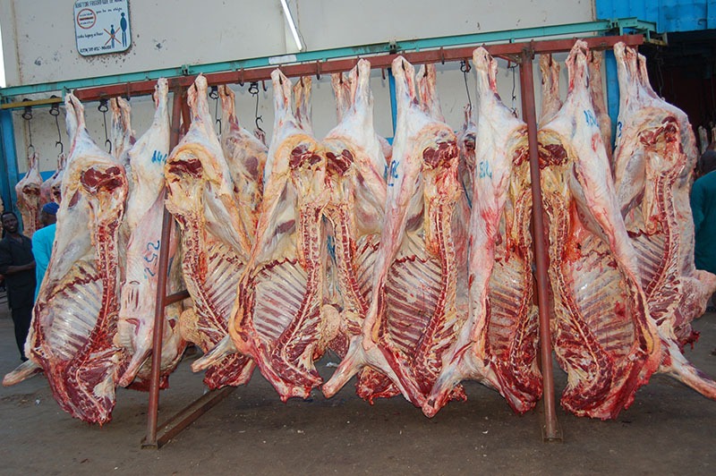 Des carcasses de viande dans un abattoir