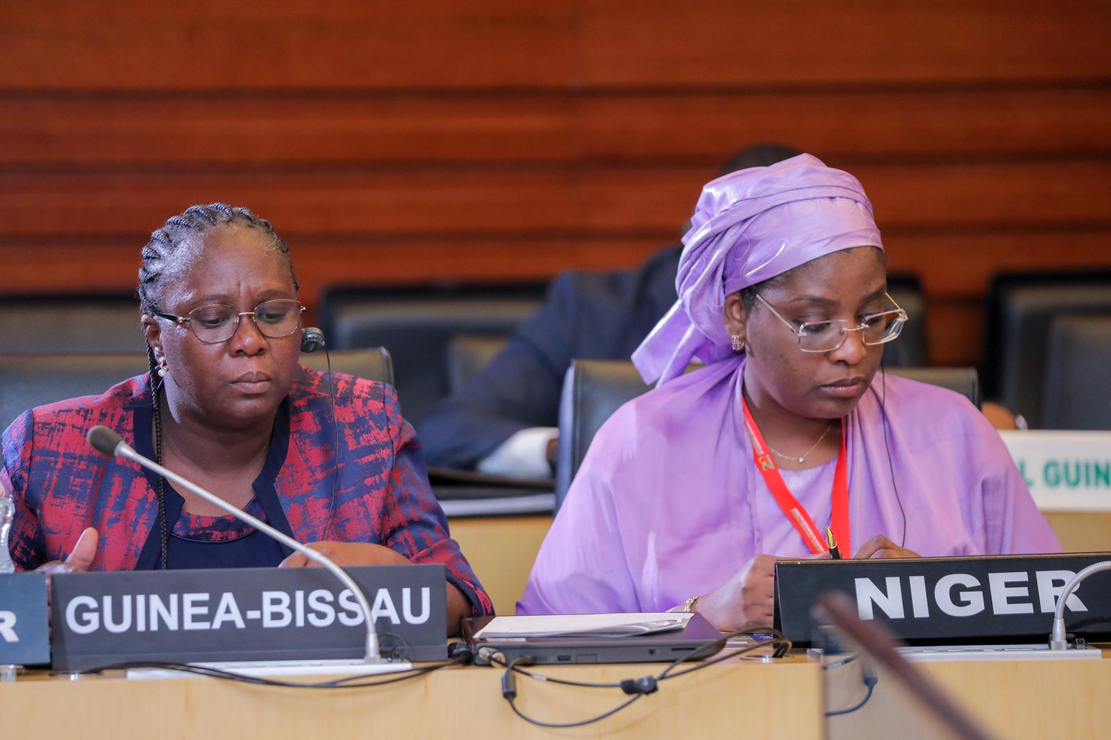 La ministre Aïssatou Abdoulaye Tondi lors de la conférence