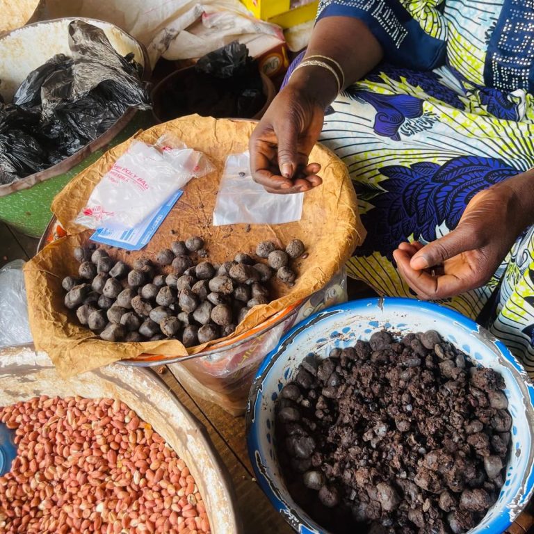Le soumbala est un produit très prisé utilisé dans nos cuisines