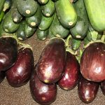 Légumes KAM (4)