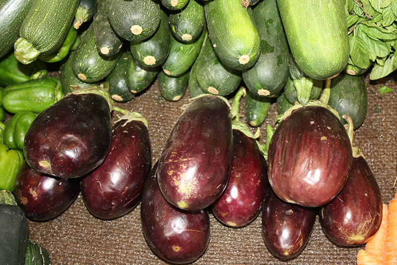 Légumes KAM (4)