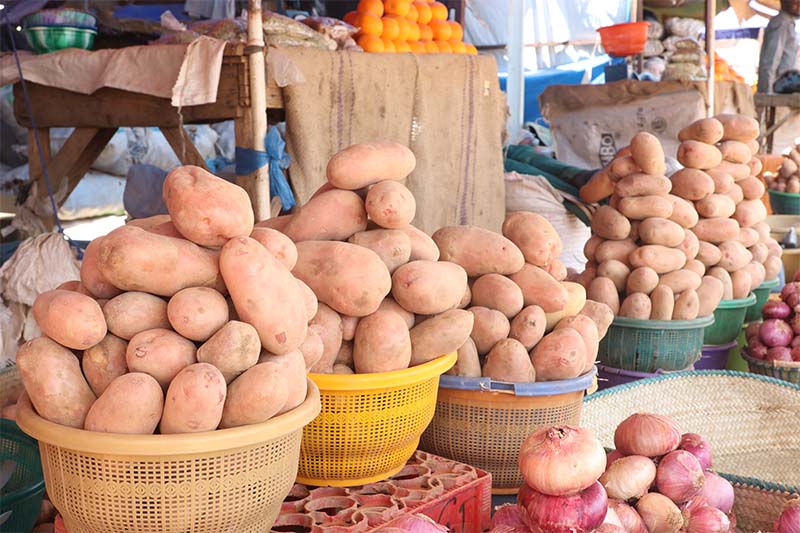 POMME DE TERRE ARCHIVES PHOTOS (4)