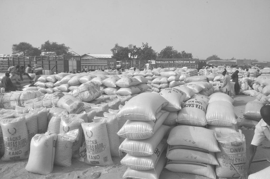 Sac ARCHIVES ONEP (1)