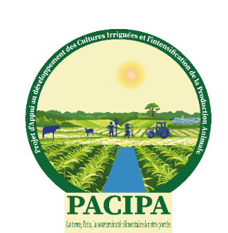 pacipa