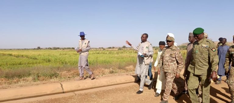 05d408a2-bfb1-424e-b1f1-7da0b30907f2