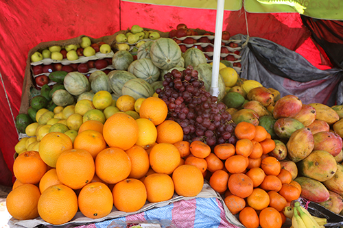 Fruits archive ONEP IMG_0277