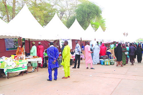 VUE DES EXPOSITIONS BBB