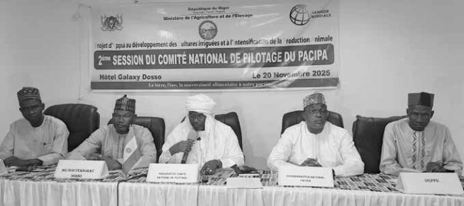 Dosso/Développement : Le Comité National de Pilotage du PACIPA tient sa ...