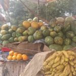 WhatsApp Image 2026-01-15 at 12.32.41