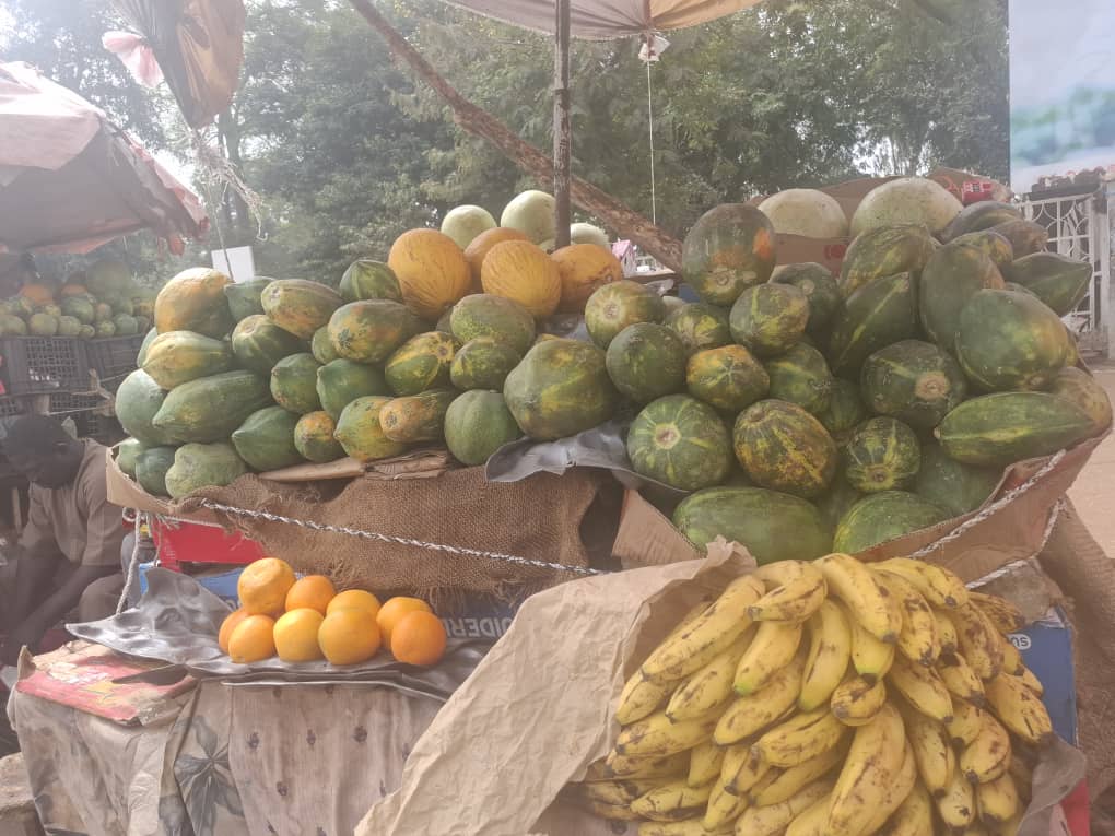 WhatsApp Image 2026-01-15 at 12.32.41