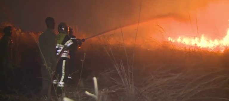 WhatsApp Image 2026-01-27 at 11.45.55 AM