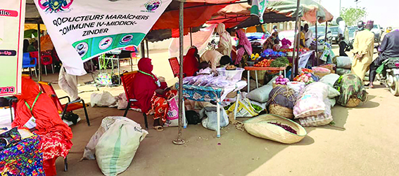 BBB IMG-20260225-WA0043