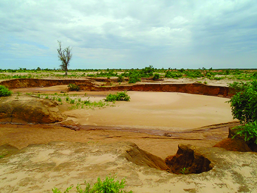 BBB WhatsApp Image 2026-02-23 at 11.58.44 AM (1)