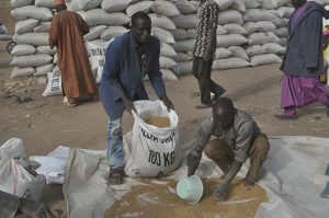 Céréale ARCHIVES ONEP (4)