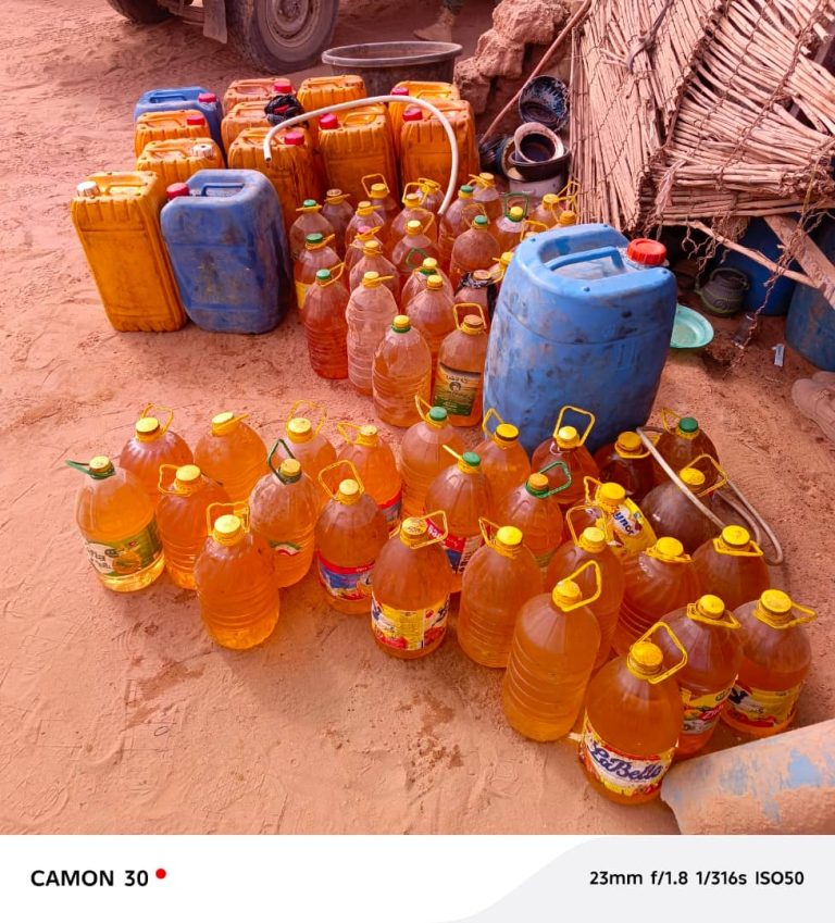 WhatsApp Image 2026-02-12 at 01.13.18