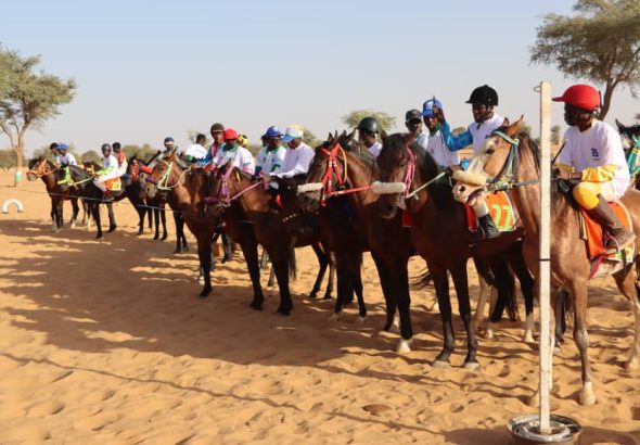 WhatsApp Image 2026-02-14 at 10.27.21 AM (1)