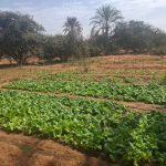 WhatsApp Image 2026-02-23 at 1.03.59 PM (2)