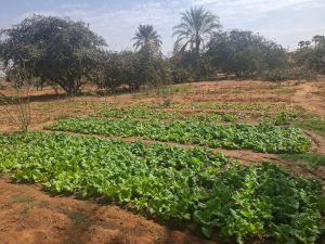 WhatsApp Image 2026-02-23 at 1.03.59 PM (2)