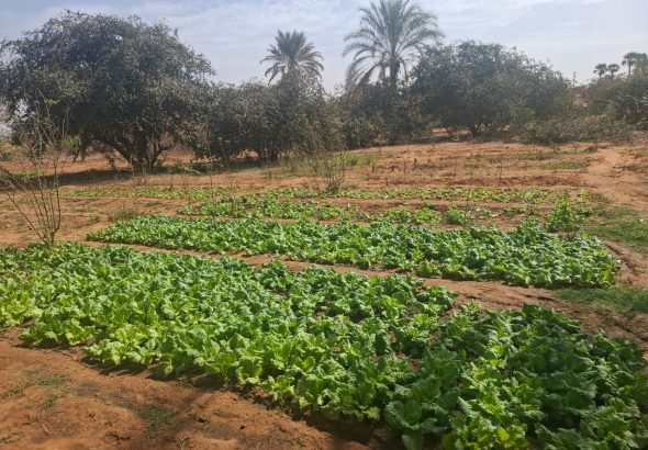 WhatsApp Image 2026-02-23 at 1.03.59 PM (2)