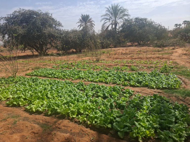 WhatsApp Image 2026-02-23 at 1.03.59 PM (2)