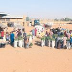 BBB IMG_3159 marche rural