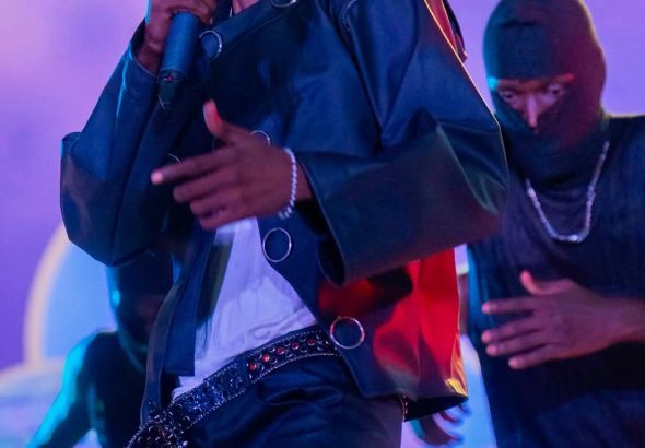photo artiste Sado