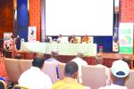 BBB IMG_3401